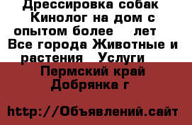 Дрессировка собак (Кинолог на дом с опытом более 10 лет) - Все города Животные и растения » Услуги   . Пермский край,Добрянка г.